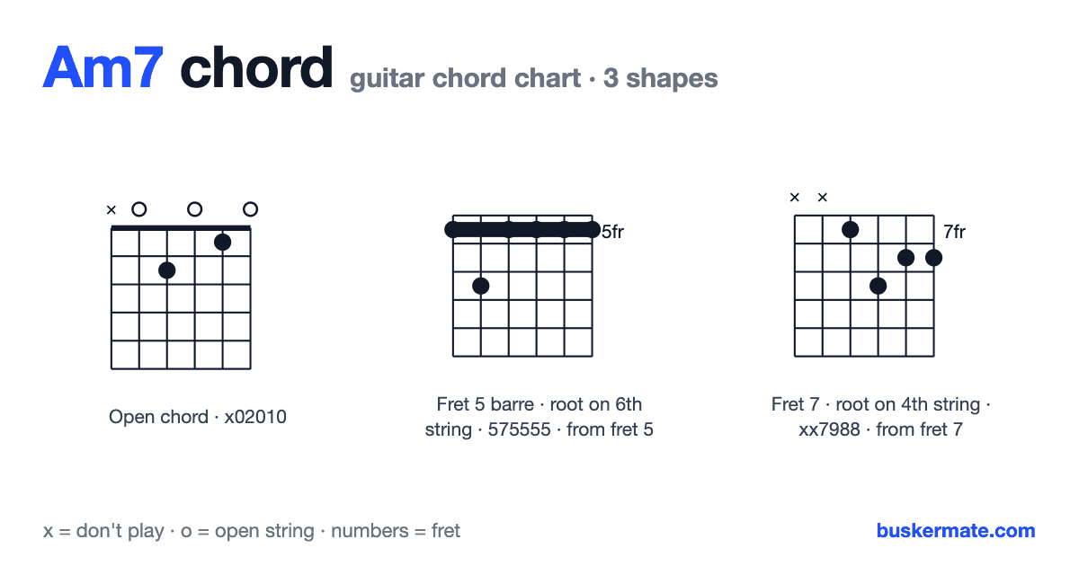 Am7 guitar chord chart — open chord x02010 and 2 more shapes