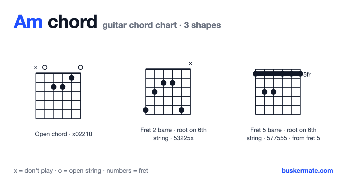 Am guitar chord chart — open chord x02210 and 2 more shapes