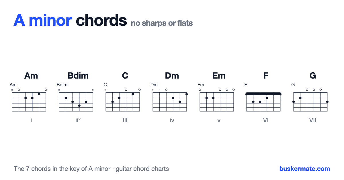 Chords in the key of A minor — guitar chord charts for Am, Bdim, C, Dm, Em, F, G