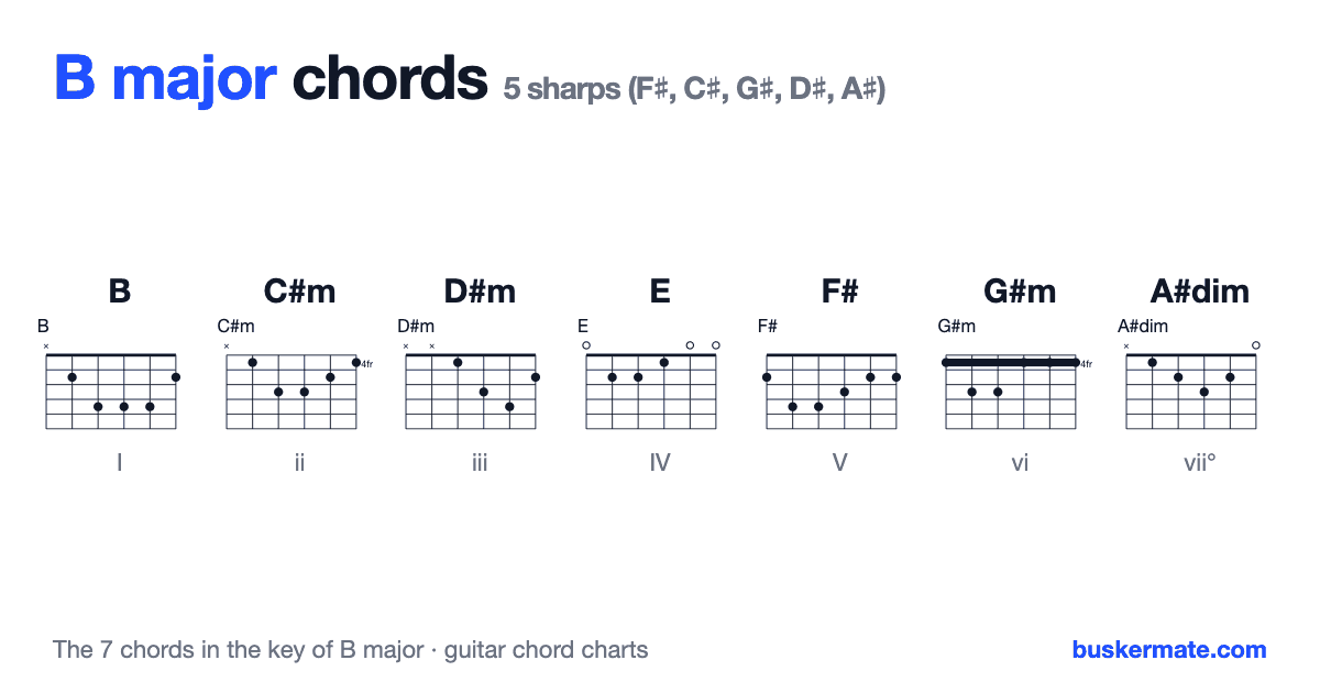Chords in the key of B major — guitar chord charts for B, C#m, D#m, E, F#, G#m, A#dim